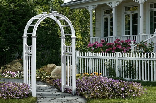 Vita vienna arbor - vita,