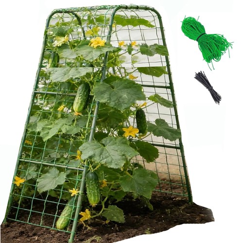 Cucumber trellis for raised - cucumber,