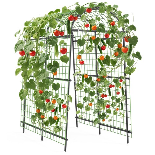 Garden arch trellis 5ft - arch, tall