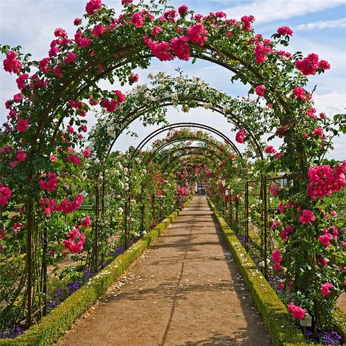 Heavy duty metal - duty, garden