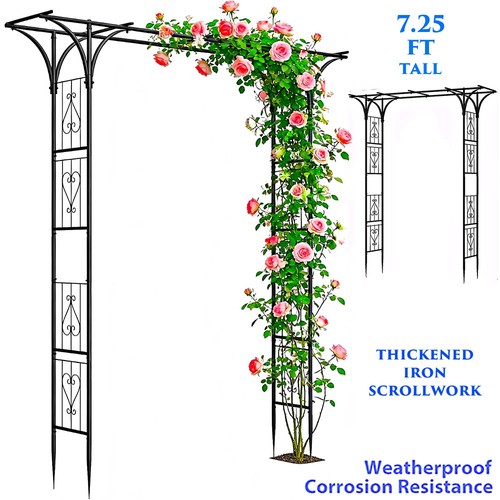 Garden arch trellis - garden,
