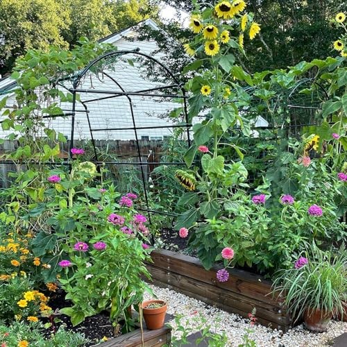 Follook garden arch trellis - arch,