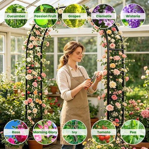 Garden arch trellis - arch, for