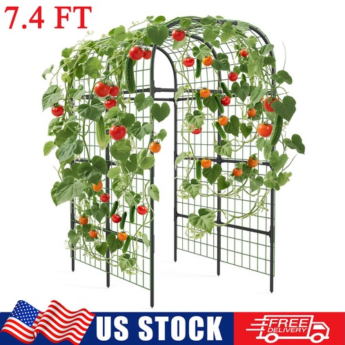Garden arch trellis - ft,