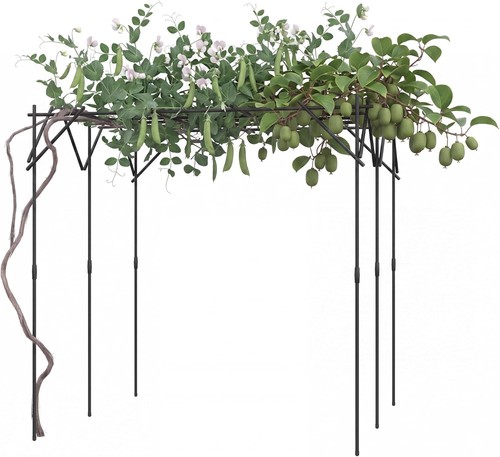 Flat top garden - flat,