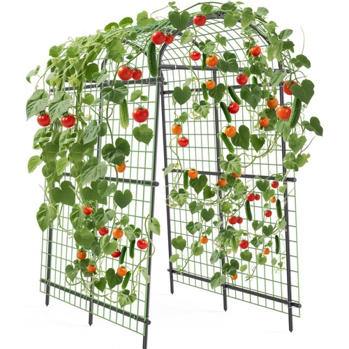 Garden arch trellis 5ft - arch, 7.5ft