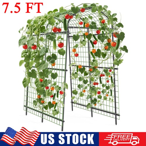 Heavy duty metal garden arch - garden,